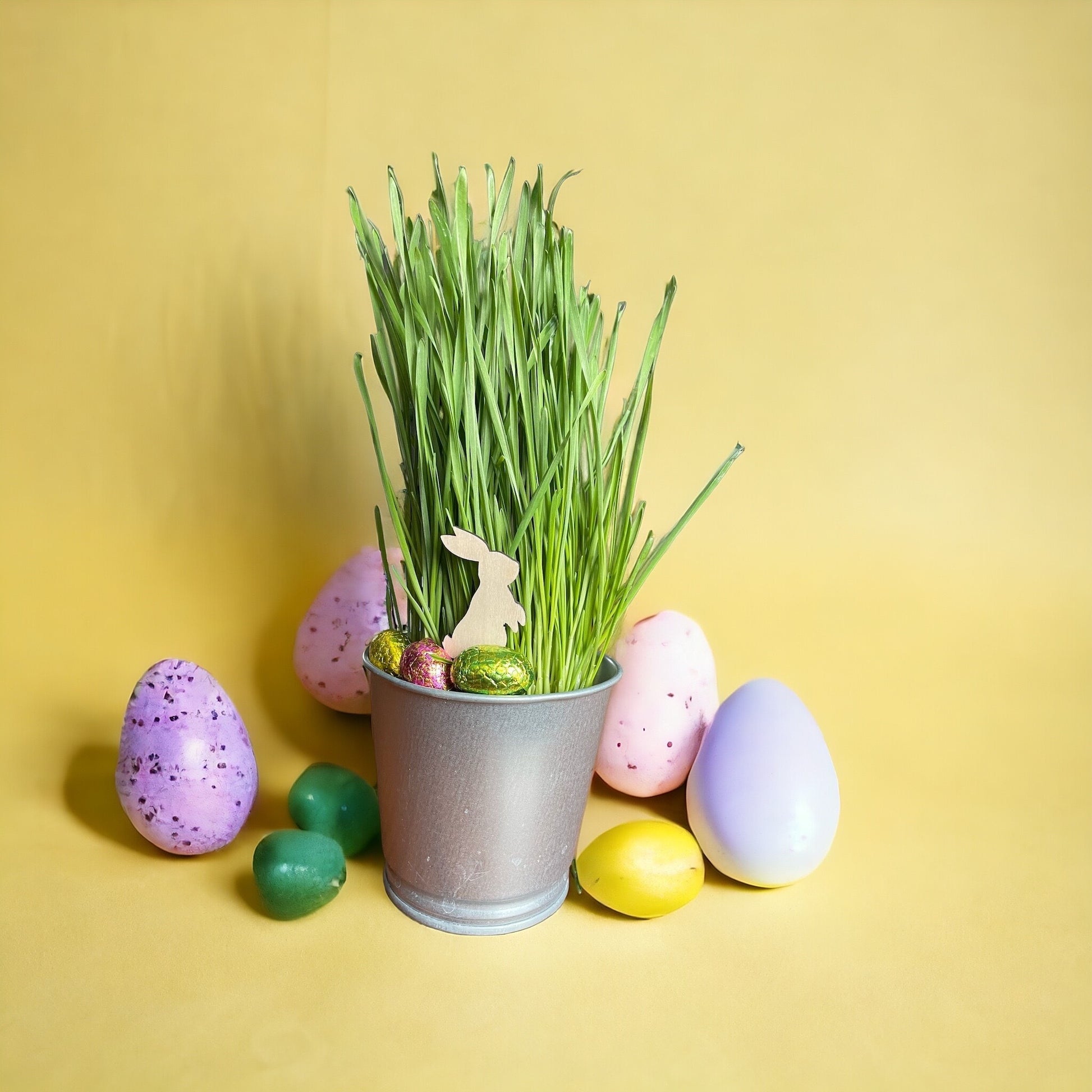 Pääsiäis-pupu-koriste-puuva